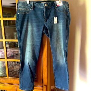 Express Women's Dark Blue Stretch Jeggings